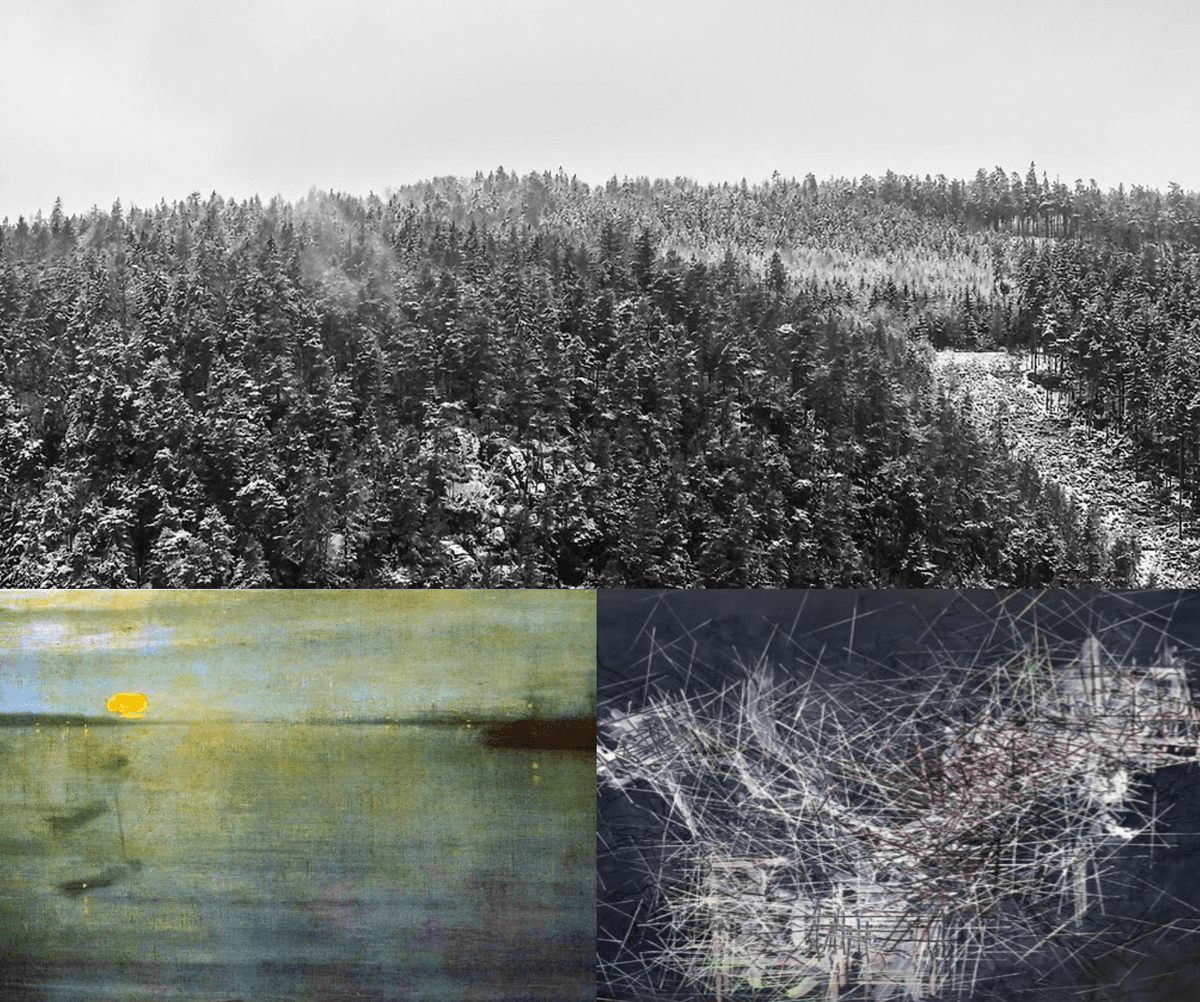 Picture of a private secure forest